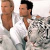 Siegfried And Roy Picture Gallery