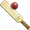 cricket bat