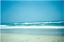 Marina Beach,Chennai,India