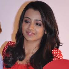 Trisha style pic