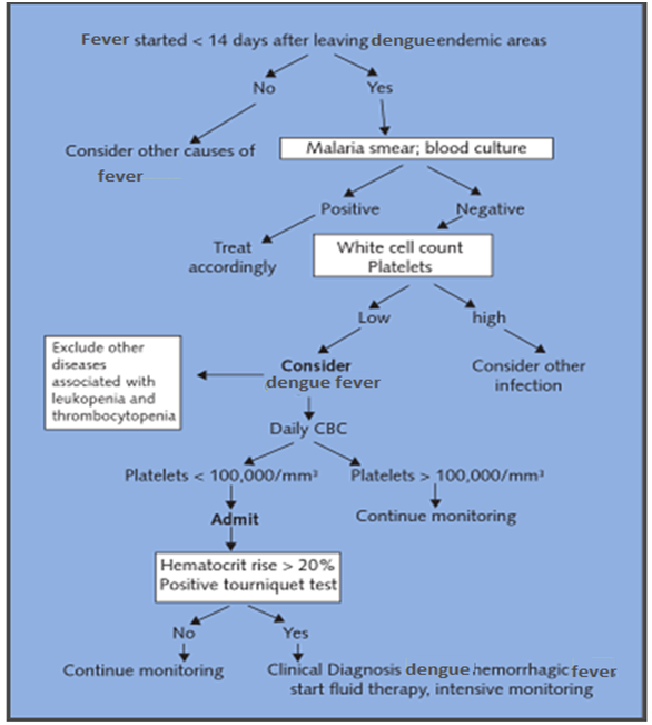 Clinical diagnosis of dengue in returning travellers from abroad