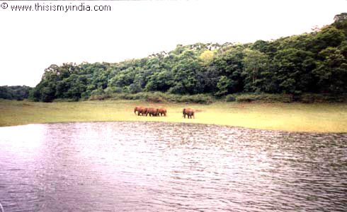 Periyar Dam